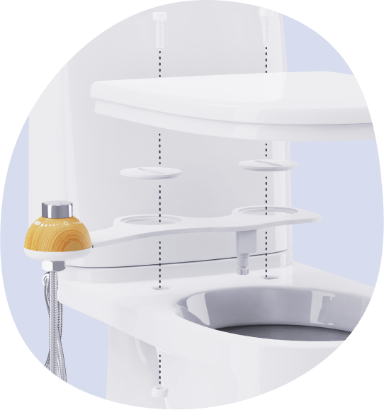 Toilet seat