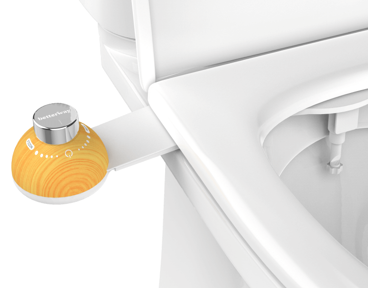 Bidet Attachment