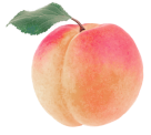 Peach