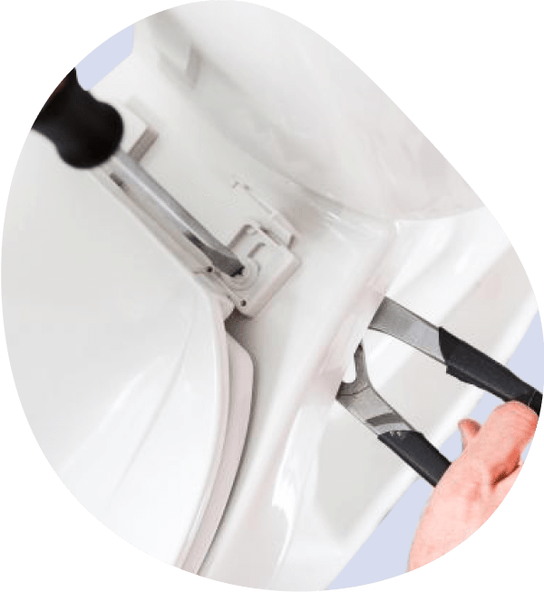 Remove toilet seat