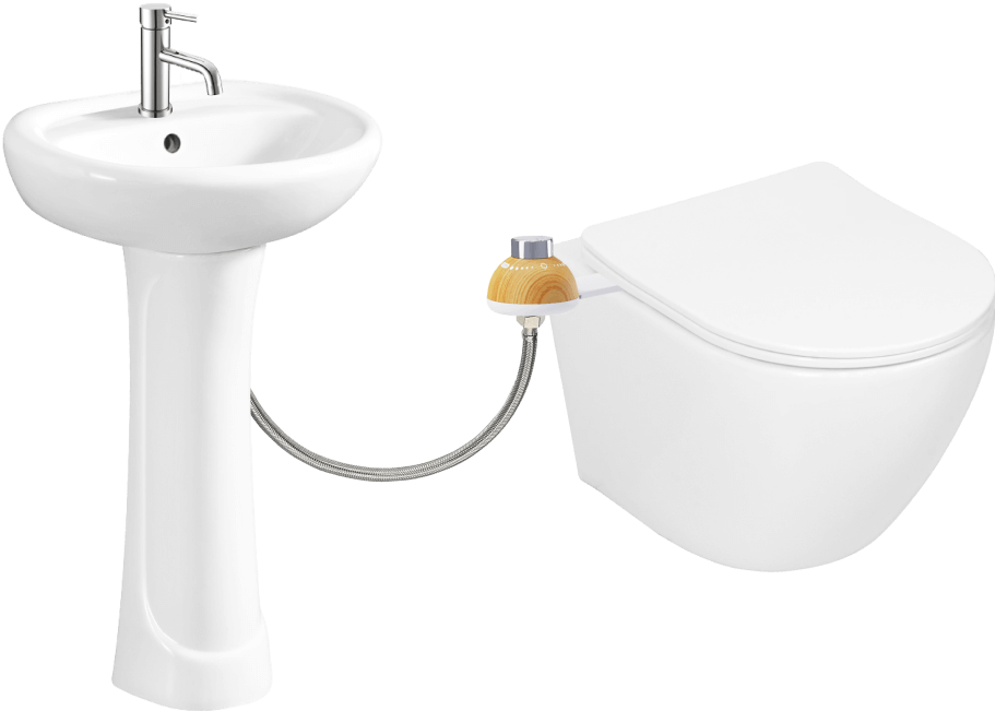 Wall-mounted toilet
